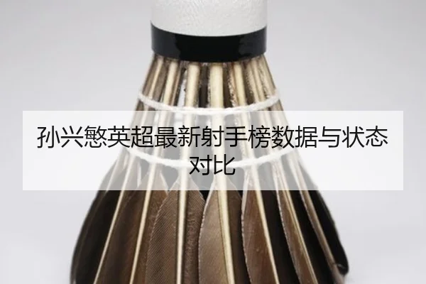 孙兴慜英超最新射手榜数据与状态对比